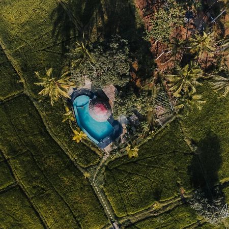 Nelu Resort Σιγκιρίγια Εξωτερικό φωτογραφία